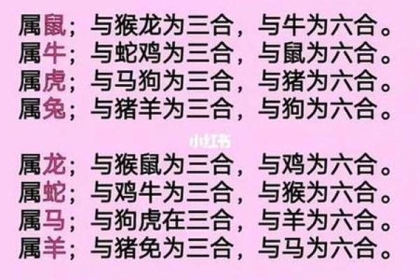 婚姻属相配对大全很准免费 十二生肖婚姻配对表