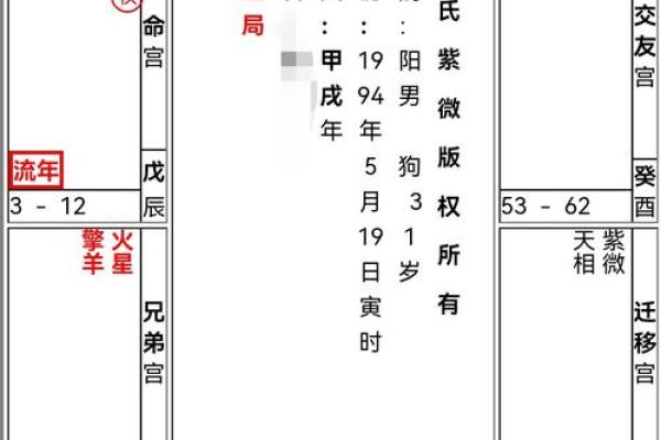 紫薇命盘详解免费版