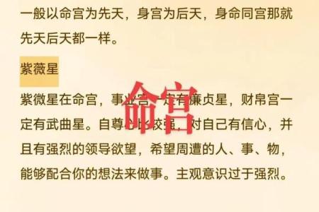 皇家紫薇斗数是什么