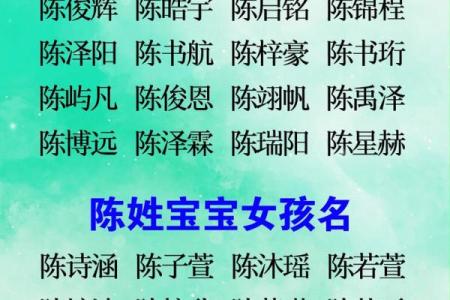 陈姓男孩名字大全-陈姓男孩起名字大全-陈姓名字大全姓名