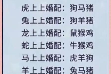 婚姻属相配对大全很准免费 十二生肖婚姻配对表