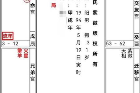 紫薇命盘详解免费版