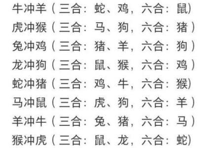 属猪和什么属相最配对 属猪和什么属相相冲
