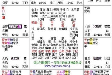 紫薇斗数太阴的排法