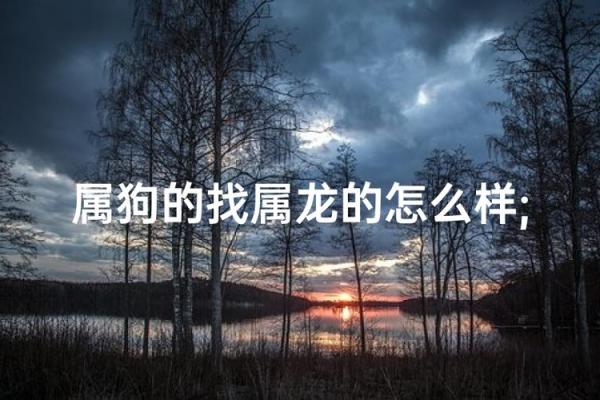 属龙和属狗相配吗 属龙和属狗配对好吗