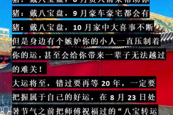 95猪男和98年虎女结婚吉日