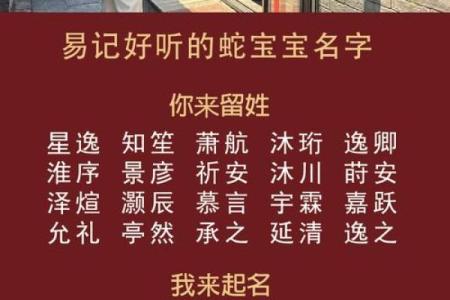 属蛇亥时出生的男孩应该如何起名，适用哪些字姓名