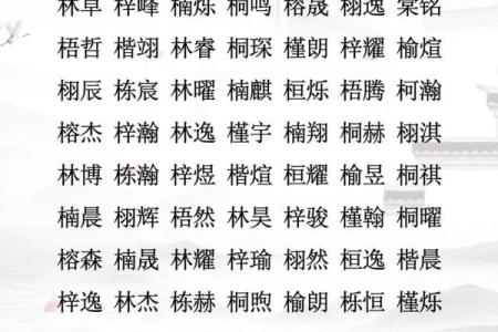 赵姓男孩名字大全-赵姓男孩起名字大全-赵姓名字大全姓名
