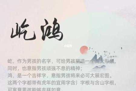 下午3点出生的属虎男孩如何起名，用什么字姓名