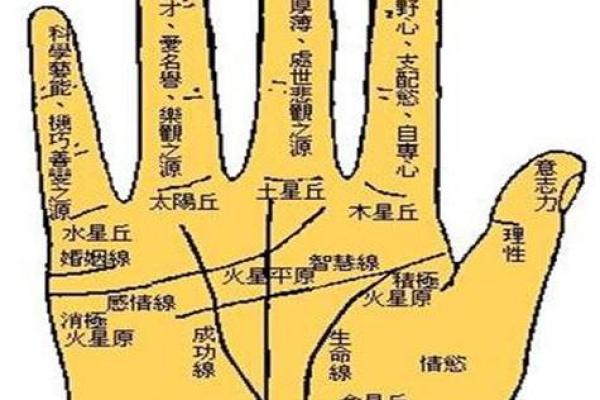 川字纹手相算命图解