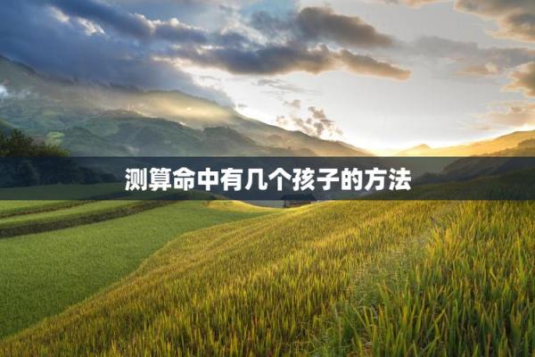 算命说你有三个子女