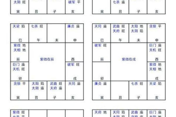 紫微斗数之疾厄宫与诸星，武曲星在疾病宫是什么意思？