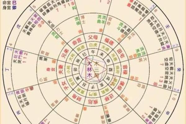 紫薇斗数appios版