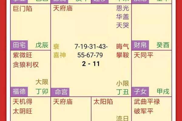 紫薇斗数命盘怎么看