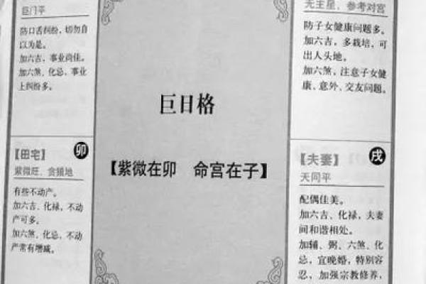 紫薇斗数命盘怎么看