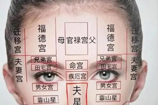 算命心理可以学吗女