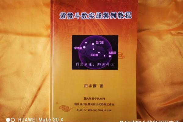 紫薇斗数灵媒
