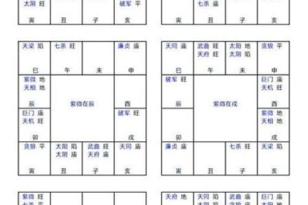 紫微斗数之疾厄宫与诸星，武曲星在疾病宫是什么意思？