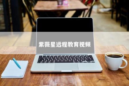 紫薇星远程教育视频