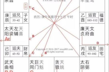 紫薇斗数appios版