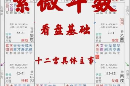 紫薇斗数地盘有什么用