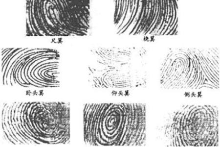 指纹算命图谱