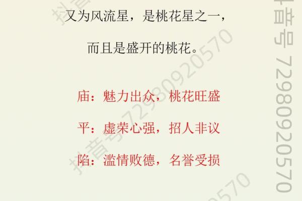 紫薇斗数事业宫有天姚