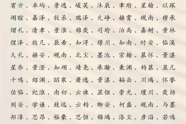 2019年6月21号子时出生的男孩应该起什么样的名字姓名