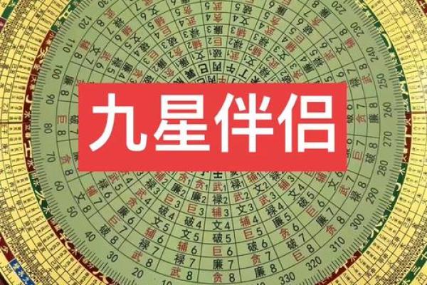 九星命理算命视频