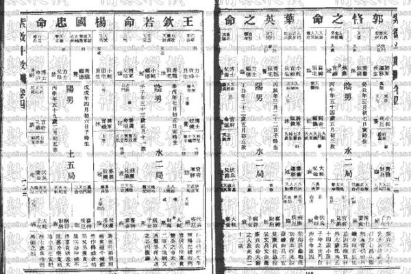数术类古籍 飞星紫微斗数