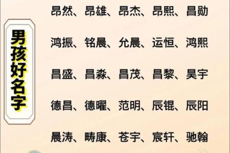 2019年6月21号子时出生的男孩应该起什么样的名字姓名