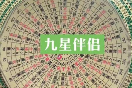 九星命理算命视频