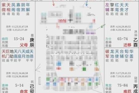紫微斗数案例48财官：能力强、欲望大的人，愿你的命盘不是这样