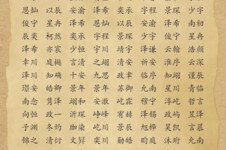 2019年6月17号子时出生的男孩起名时要注意什么姓名