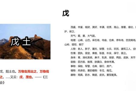 大运换格局 变来变去的原局#八字#传统文化#国学文化#易学智慧
