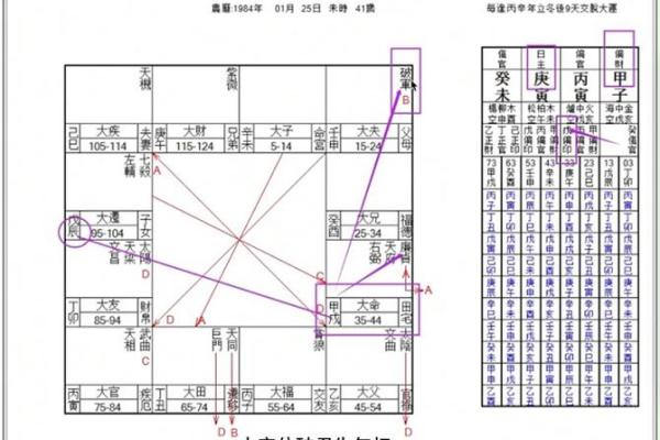 紫薇斗数好命盘