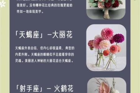 哪些花朵适合十二星座的专属