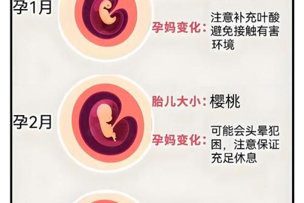 什么八字女命生多胞胎儿子