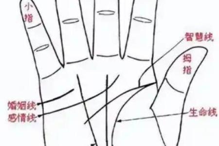 手型算命：你是什么手型？