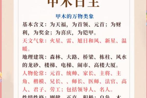 八字太阳天梁是什么意思,太阳天梁性格