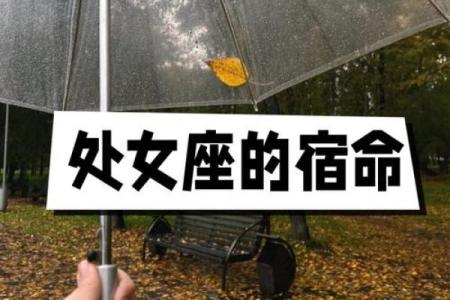 唯一可以虐处女的星座 把处女伤的最惨的星座