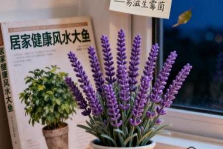 假花摆放在家里影响风水有哪些方面呢