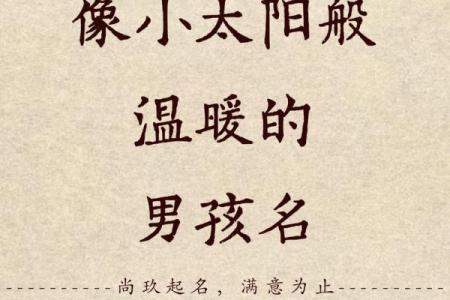 双胞胎男孩起乳名的方法和参考字有哪些-姓名学-华易网姓名