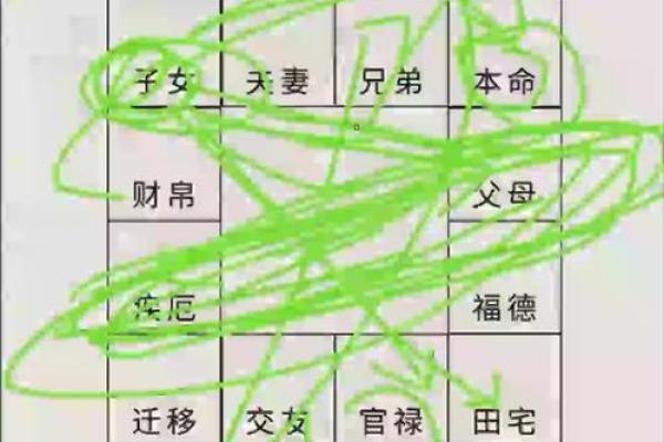 紫薇斗数化禄流通 紫薇斗数化禄流通