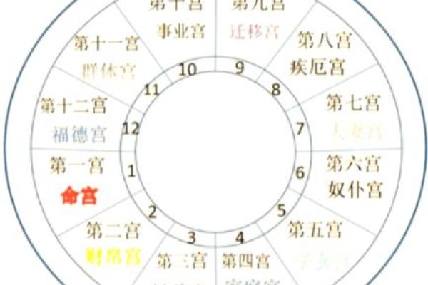 紫薇斗数化禄流通 紫薇斗数化禄流通