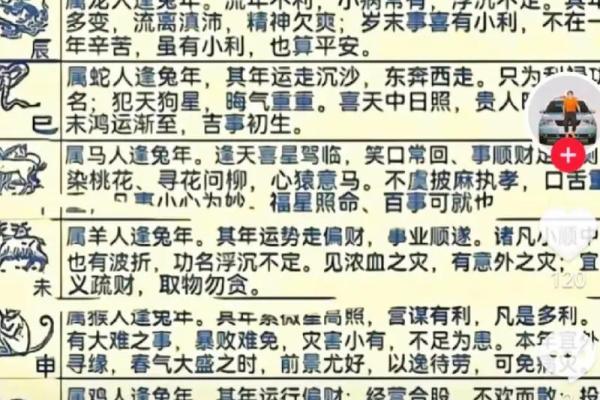 马星座运势 马星座运势