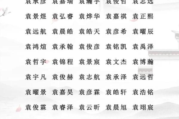 2019年3月23号辛时出生的男孩如何起名姓名