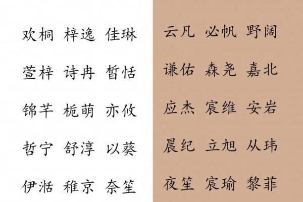 2019年6月23号子时出生的男孩如何起名姓名