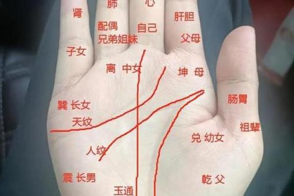 民间手相和指纹的算命口诀顺口溜