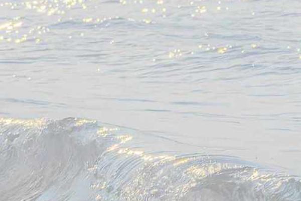 女人为水能生财带财 天生帮夫命兴旺全家的星座